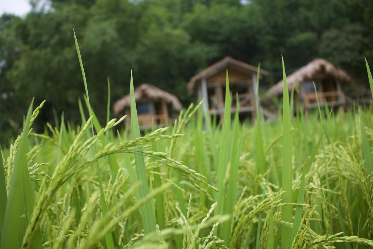 Little Mai Chau Home Stay Exteriör bild