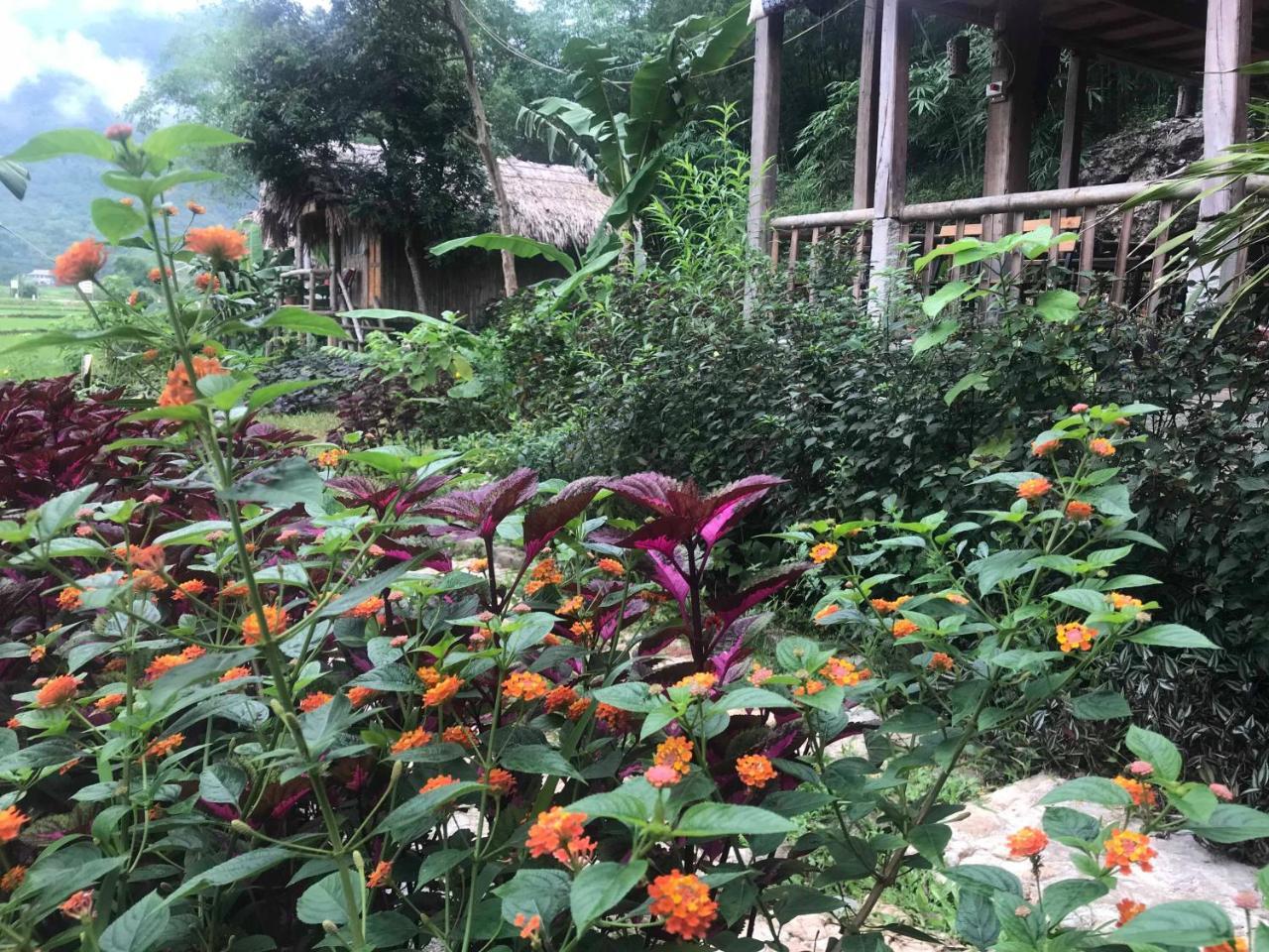 Little Mai Chau Home Stay Exteriör bild