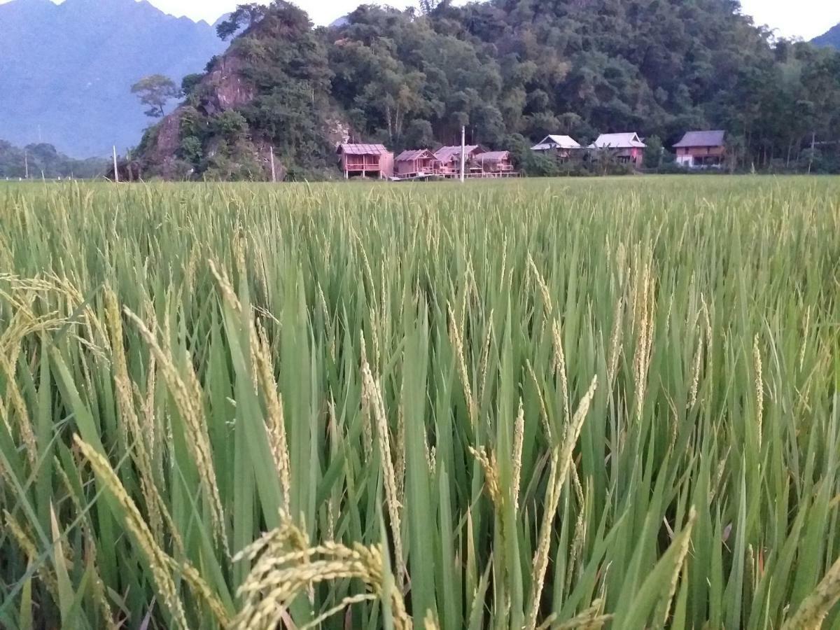 Little Mai Chau Home Stay Exteriör bild